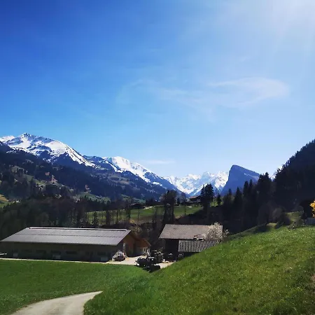 Apartment Cozy In Alpine Village, Interlaken Region *