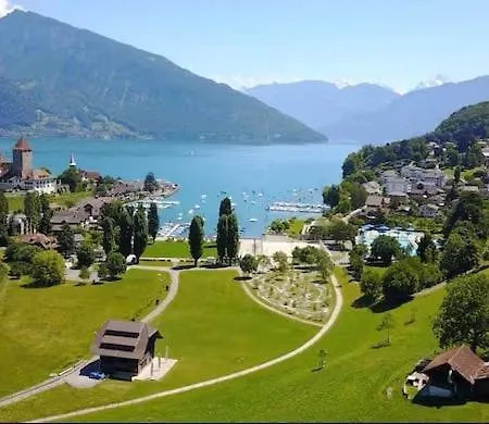 Apartment Cozy In Alpine Village, Interlaken Region *