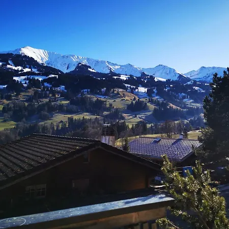 Cozy In Alpine Village, Interlaken Region Apartment