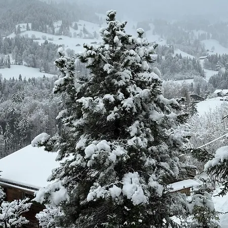 Cozy In Alpine Village, Interlaken Region * Diemtigen